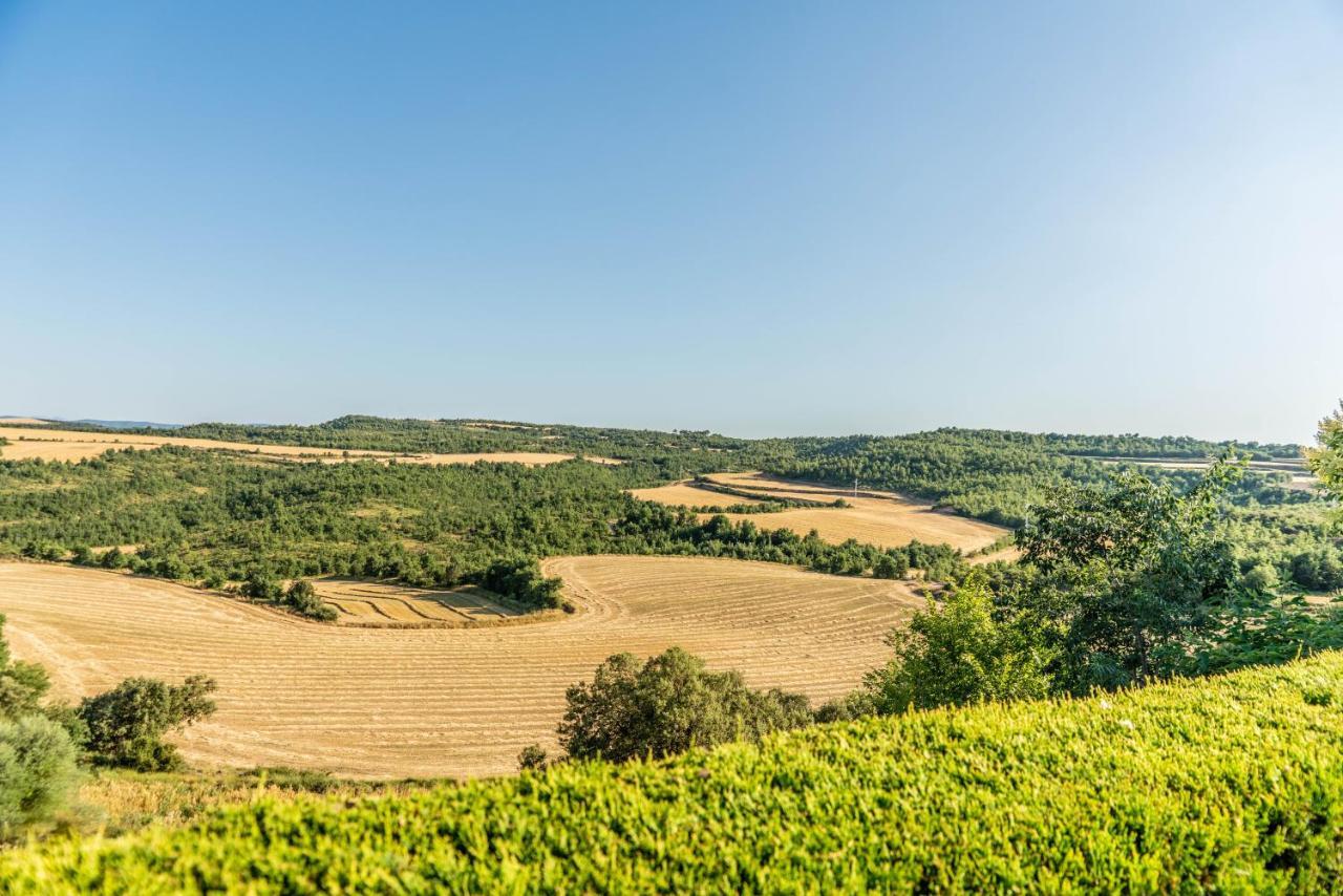 Casa Rural Sant Grau Turismo Saludable Y Responsable Solsona Εξωτερικό φωτογραφία